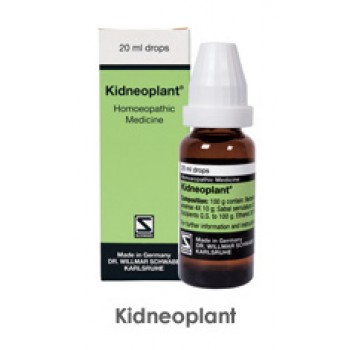Kidneoplant